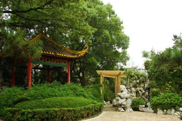 如何讓土地“變肥”，讓樹苗“夠吃”？